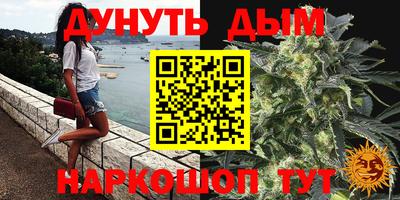 прущие грибы Можга