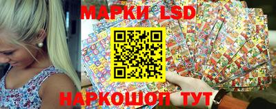 прущие грибы Можга