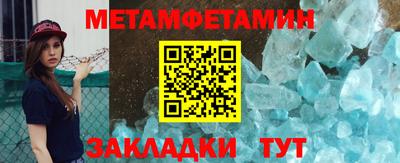 прущие грибы Можга