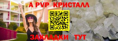 прущие грибы Можга