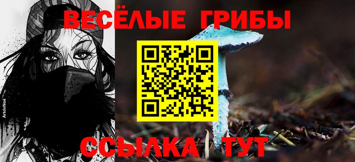 Урус-Мартан  Псилоцибиновые грибы MAGIC MUSHROOMS  Галлюциногенные грибы мухоморы  Вход с VPN 