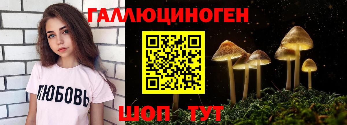 Галлюциногенные грибы Magic Shrooms Урус-Мартан